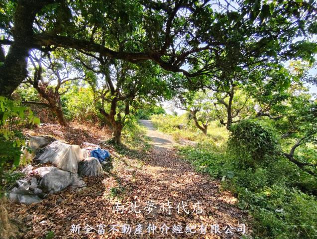 台南農地-15