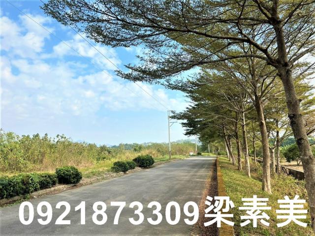 台南農地-3