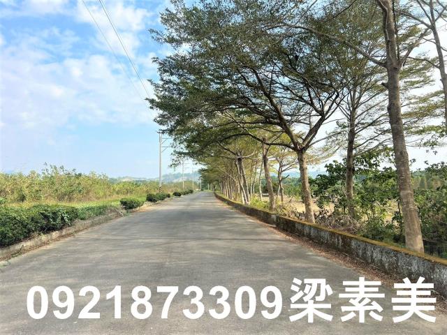 台南農地-6