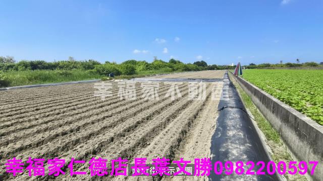 台南安南農地-10