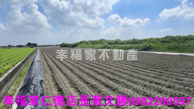 台南安南農地-6