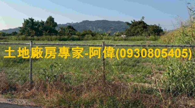 燕巢農地-1