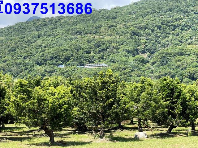 頭城農地-14