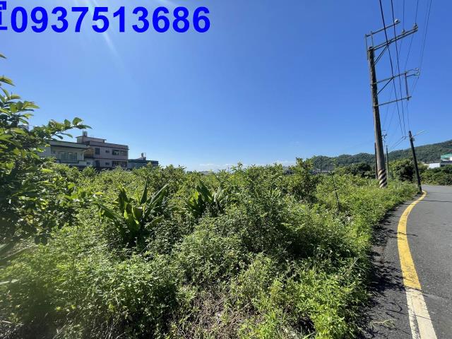 宜蘭農地-10