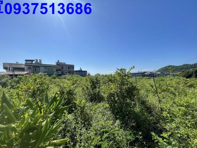 宜蘭農地-12