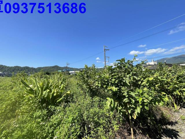 宜蘭農地-2
