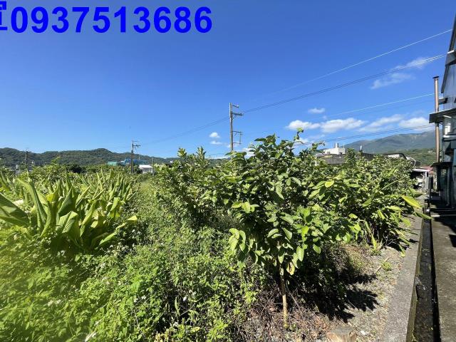 宜蘭農地-3