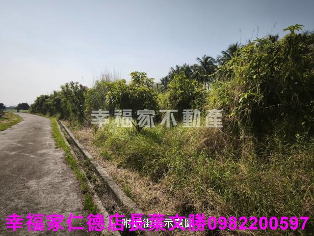 台南農地-11