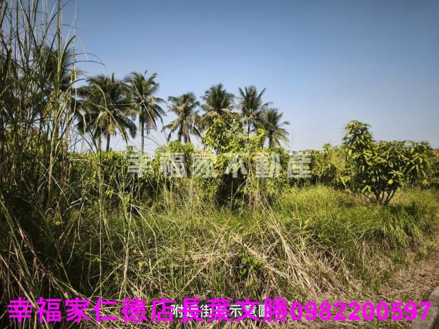 台南農地-14