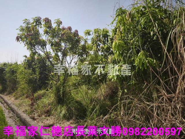 台南農地-1