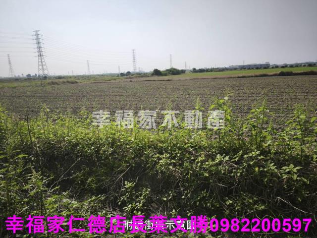 台南農地-6