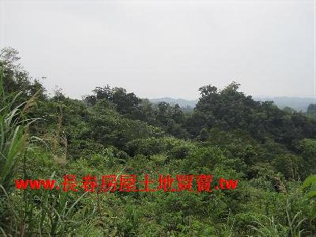 苗栗農地-4