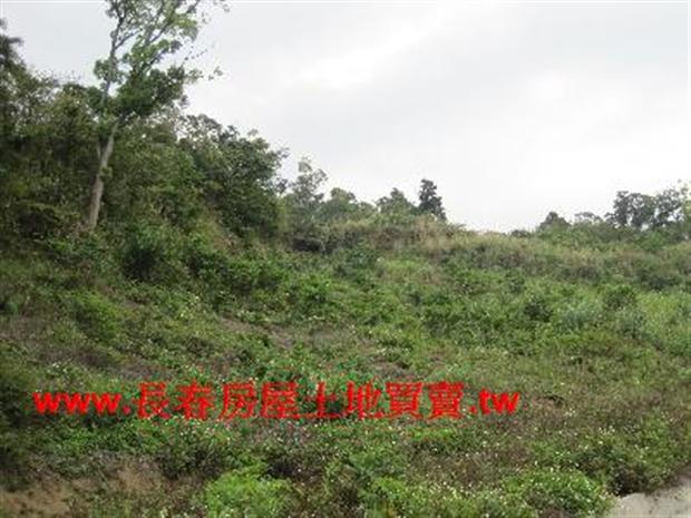 苗栗農地-2